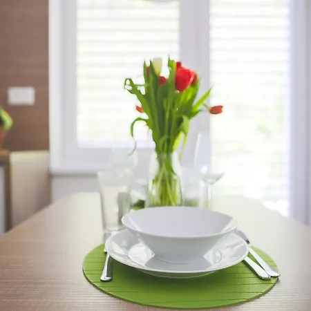 Appartement Irene Trenčianske Teplice