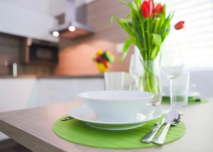 Apartmán Irene Trencianske Teplice